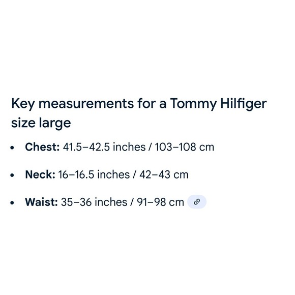 HILFIGER Men's Pullover Classic Red Crew Neck Logo Sweater Cotton Size LG NWT - Picture 5 of 13